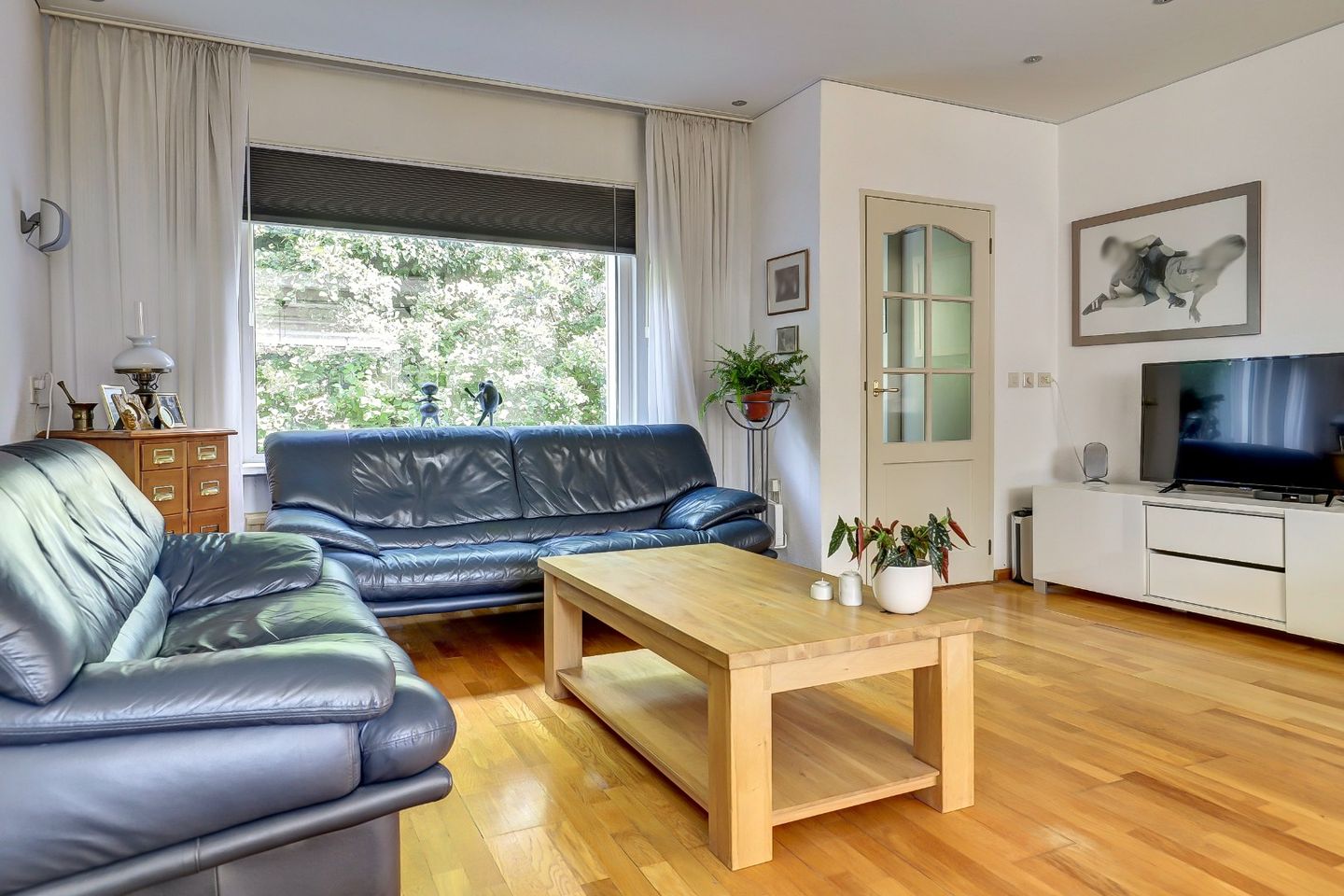 Foto 10 van Hoefblad 139