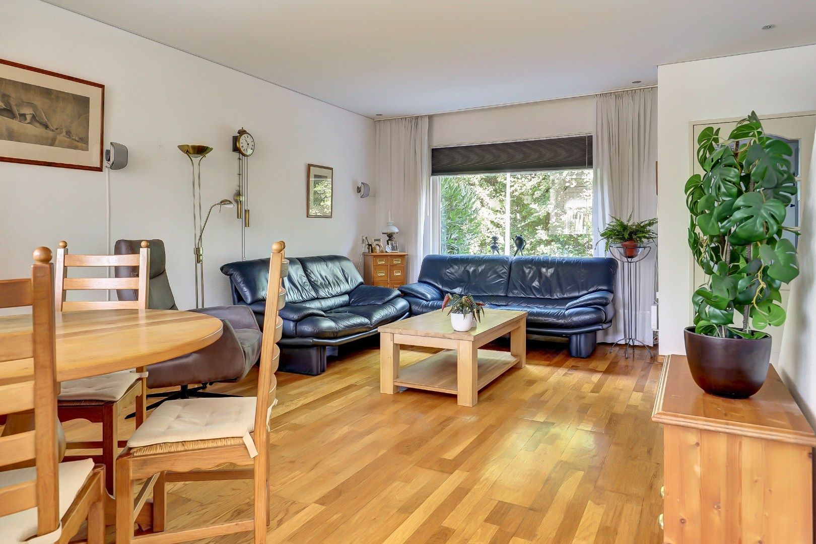 Foto 12 van Hoefblad 139