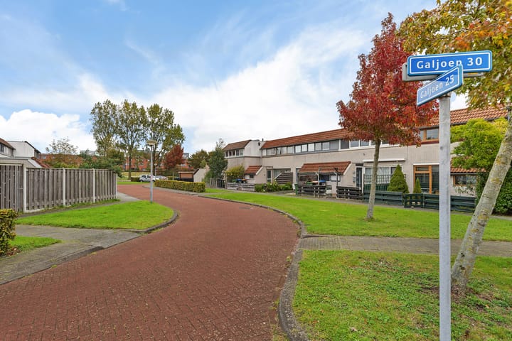 Foto 41 van Galjoen 25 10