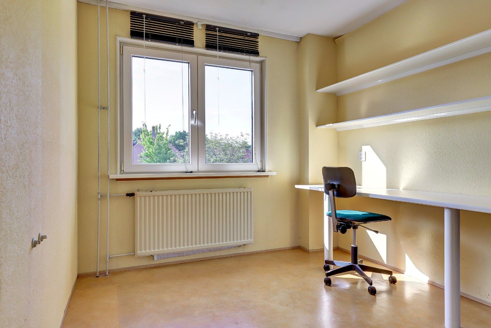 Foto 21 van Hoefblad 139