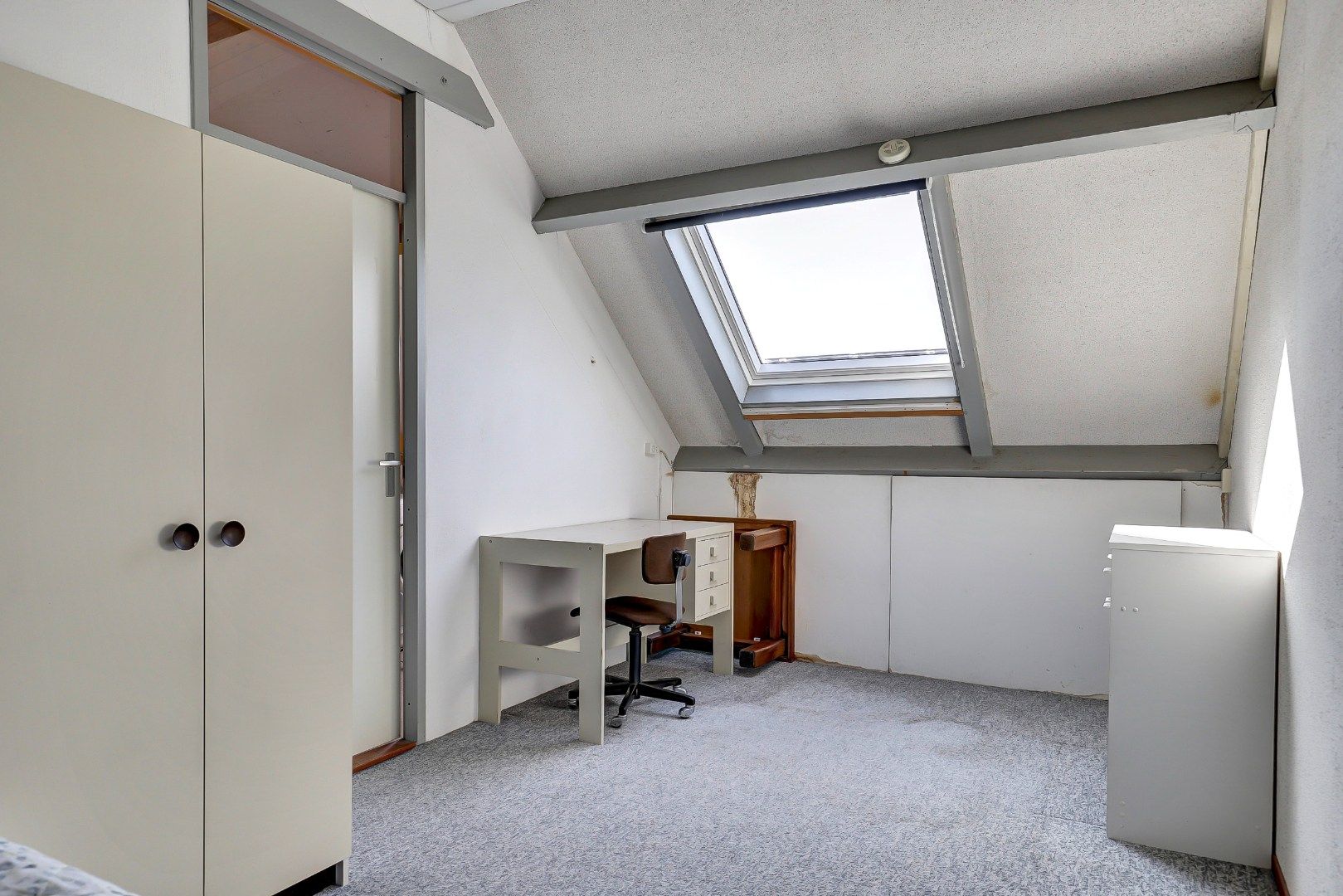 Foto 30 van Hoefblad 139