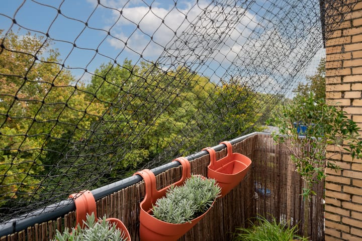 Foto 16 van Oranjesingel 16