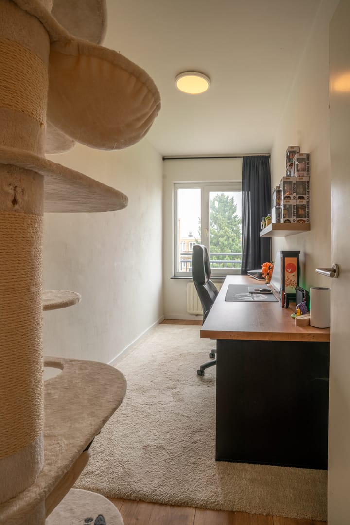 Foto 23 van Oranjesingel 16