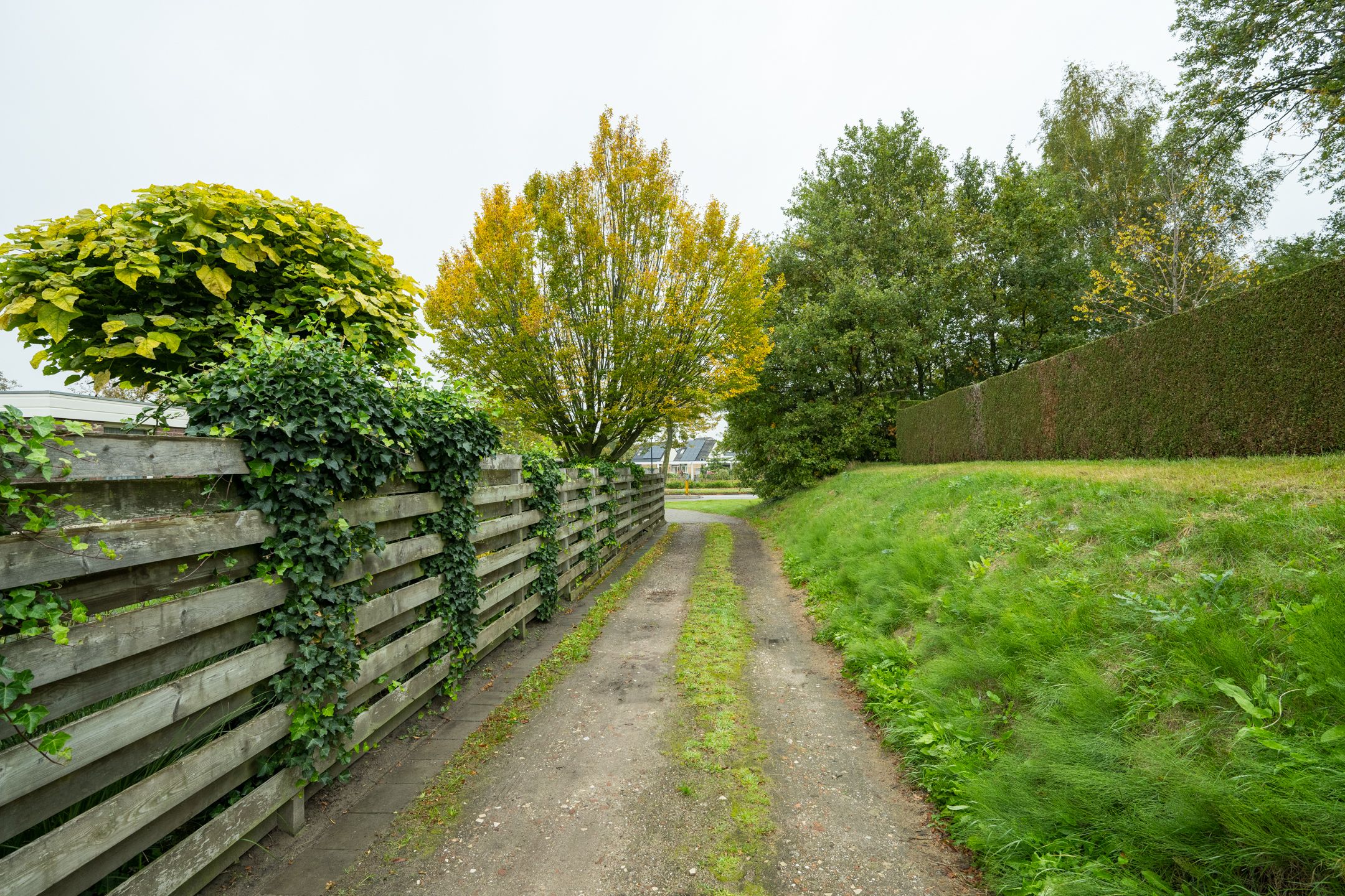 Foto 45 van Waliënsestraat 174