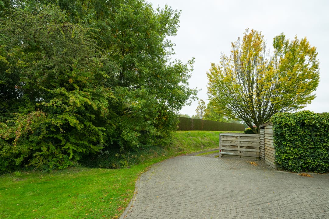 Foto 46 van Waliënsestraat 174