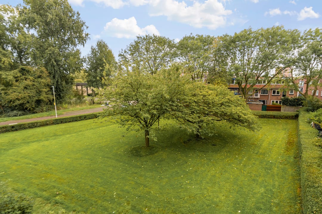 Foto 11 van Vechtplantsoen 10-1