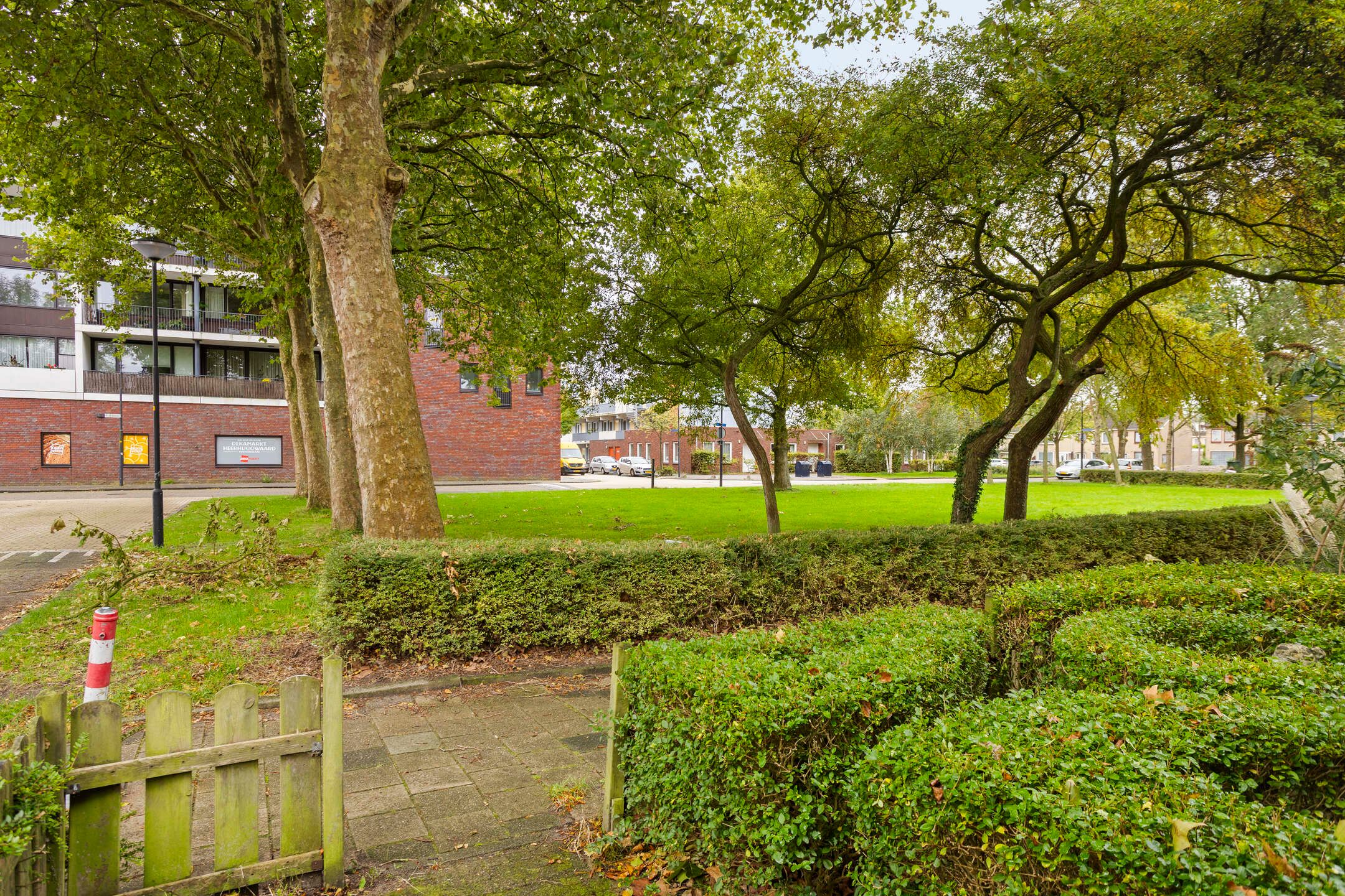 Foto 6 van Olmenlaan 13