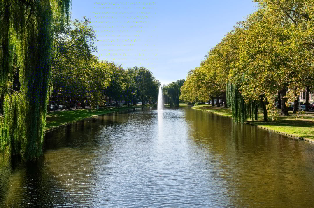 Photo 2 of Heemraadssingel 103-C