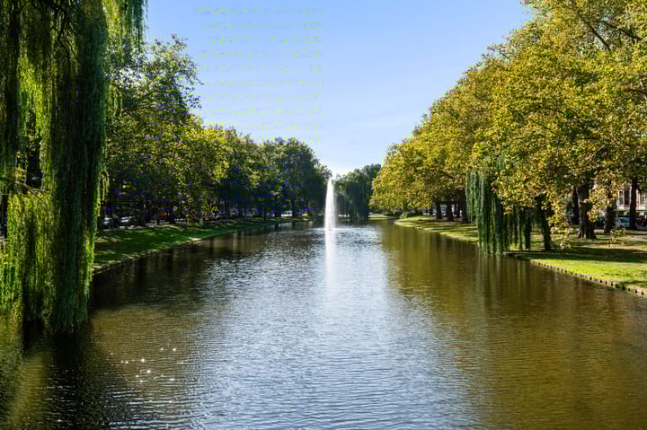 Foto 2 van Heemraadssingel 103-C