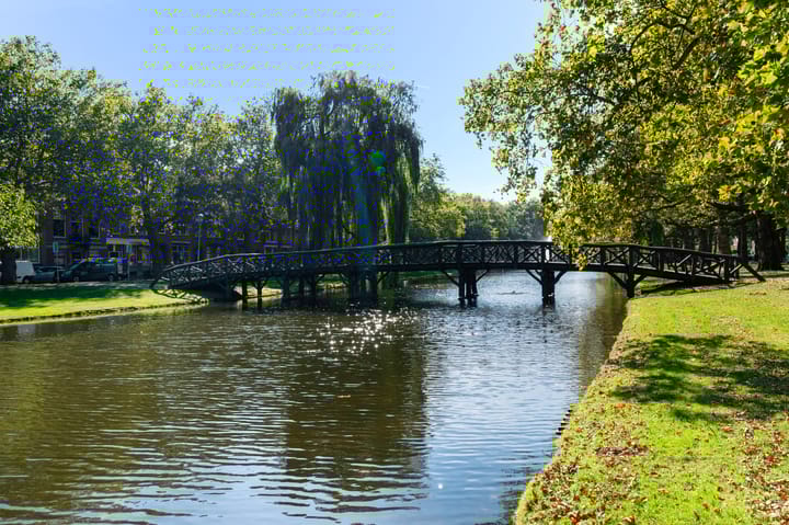 Foto 6 van Heemraadssingel 103-C