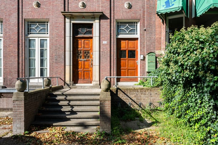 Foto 29 van Heemraadssingel 103-C