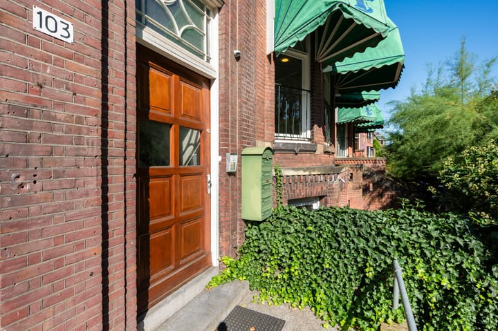 Foto 30 van Heemraadssingel 103-C