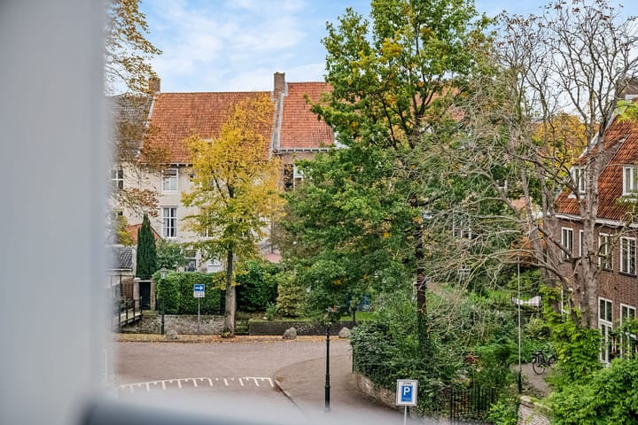 Foto 38 van Grote Haag 97