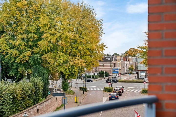 Foto 41 van Grote Haag 97