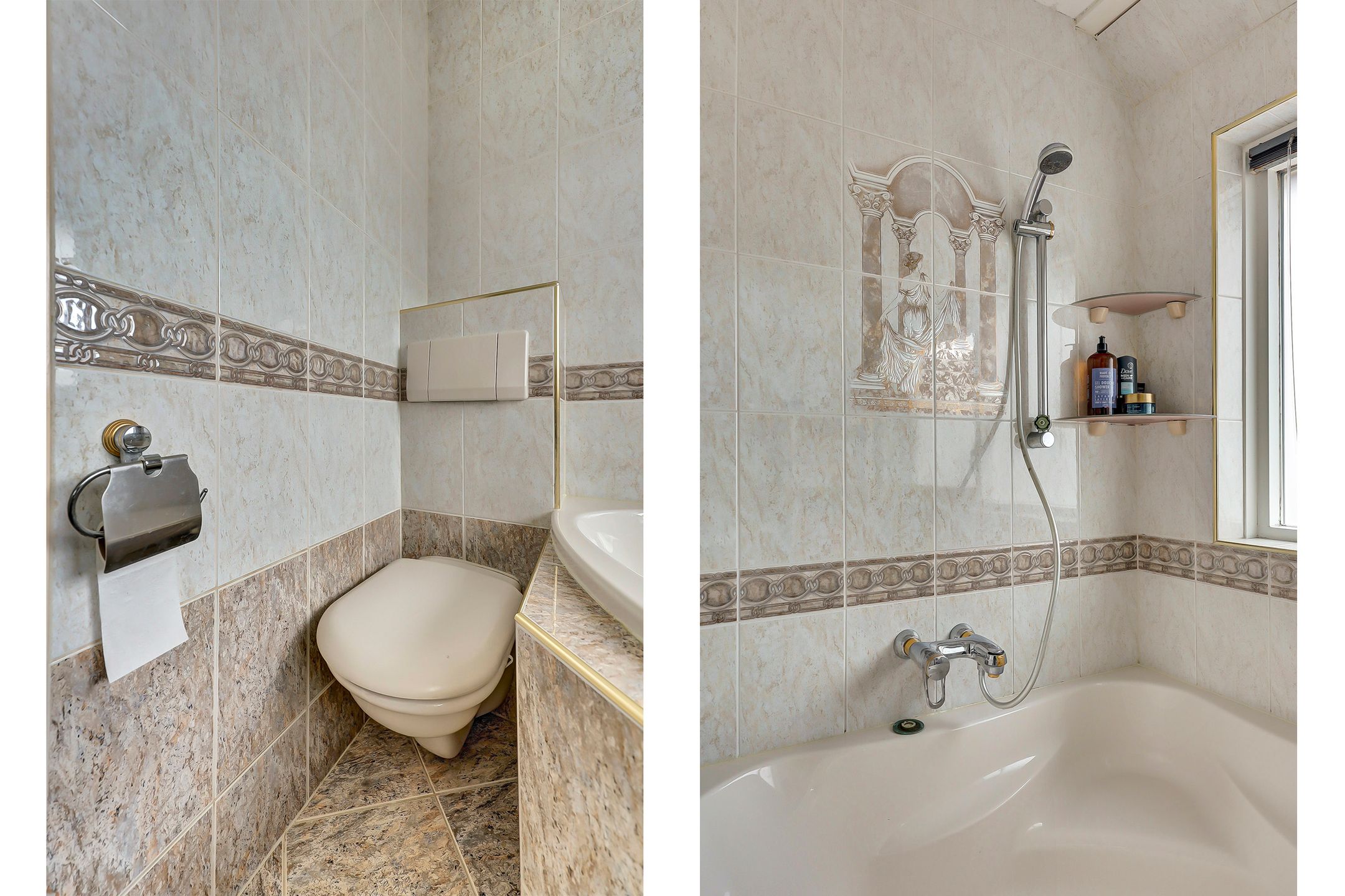 Foto 24 van Brahmsstraat 101