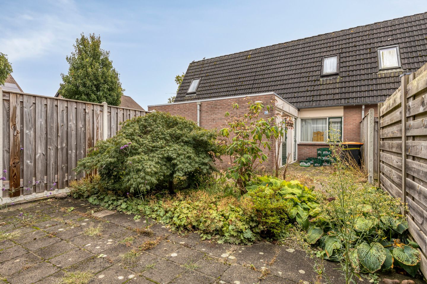 Foto 20 van De IJsvogel 38