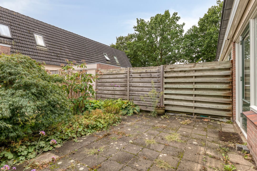 Foto 22 van De IJsvogel 38