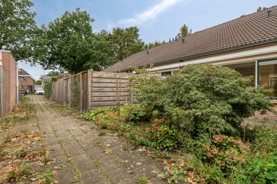 Foto 23 van De IJsvogel 38