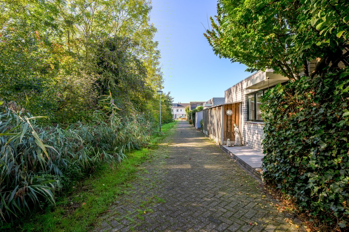 Foto 5 van M. Ruyshof 19