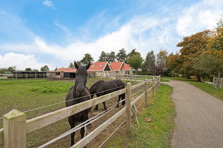 Foto 8 van Siebe de Ruiterweg 5