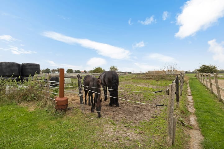 Foto 42 van Siebe de Ruiterweg 5