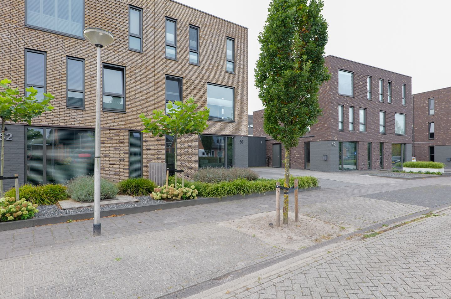 Foto 40 van Bosrank 50