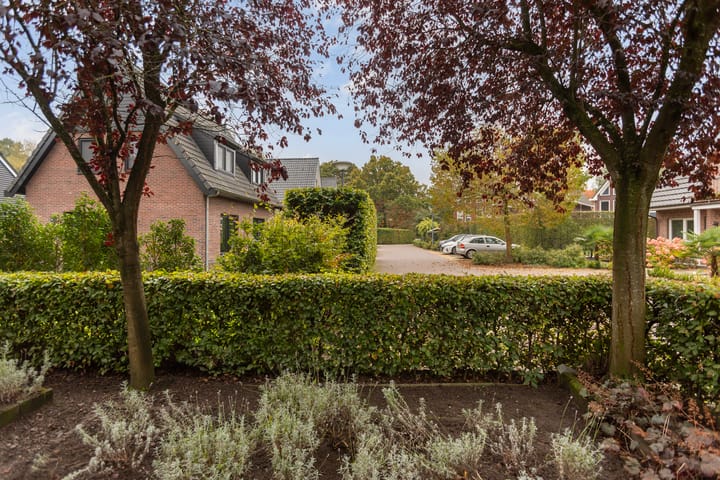 Foto 57 van Grutto 10