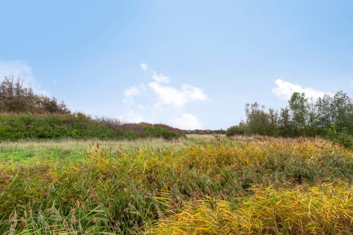 Foto 33 van Springvloed 16