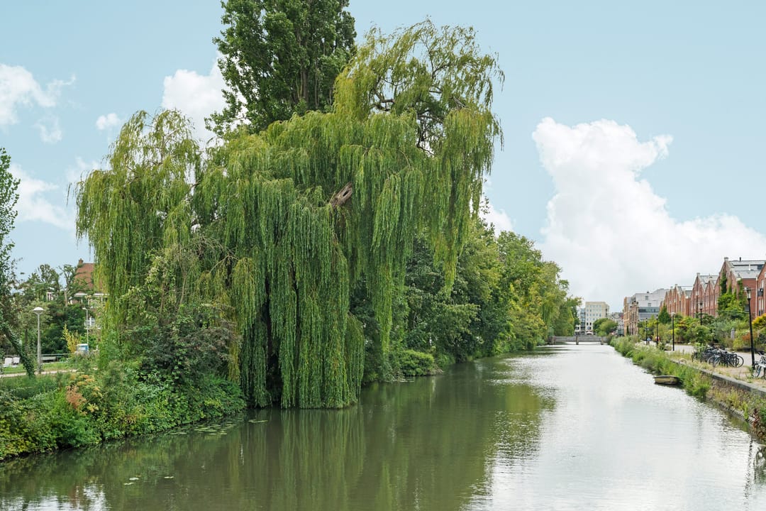 Foto 38 van Polderweg 484-C