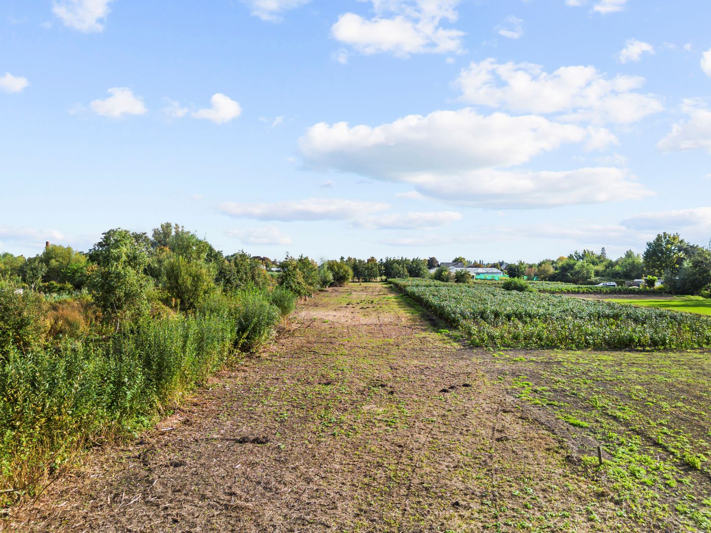 Foto 34 van Uiterweg 58