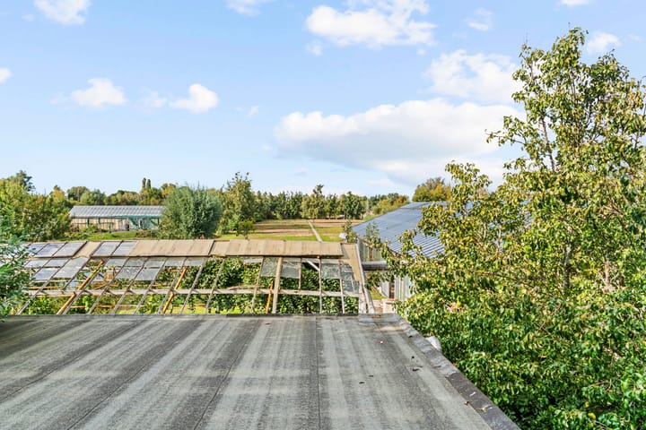 Foto 58 van Uiterweg 58