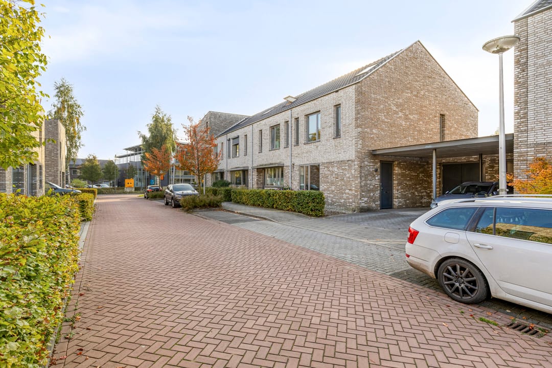 Foto 7 van Standerdmolen 19