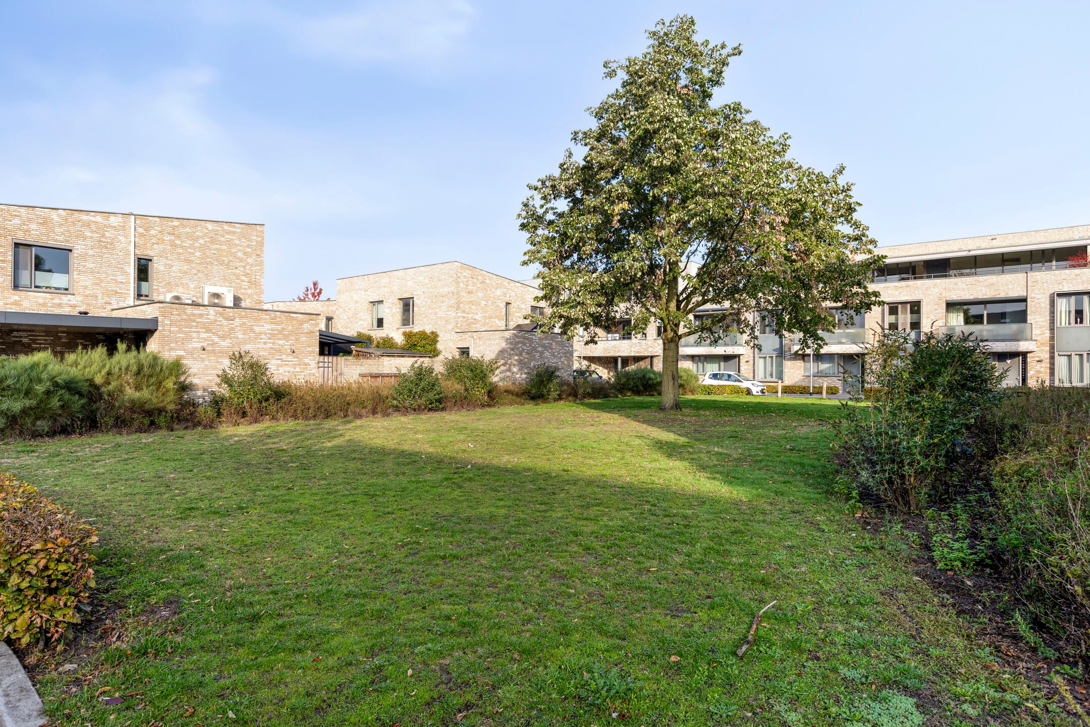 Foto 36 van Standerdmolen 19