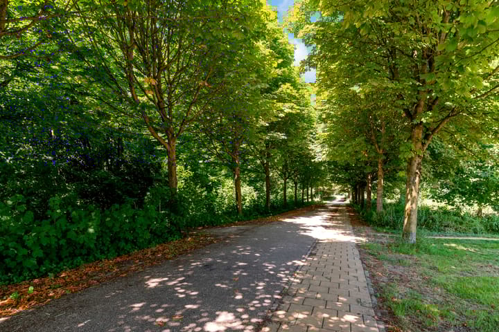 Foto 57 van Waagstraat 8