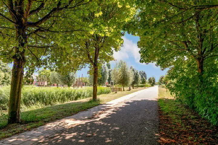 Foto 58 van Waagstraat 8