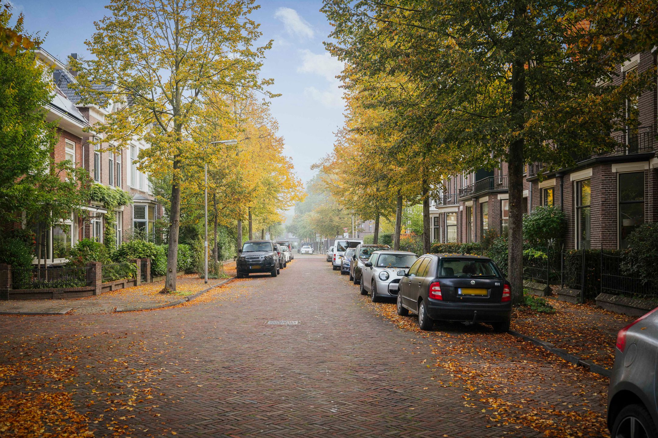 Foto 24 van Radstakeweg 19