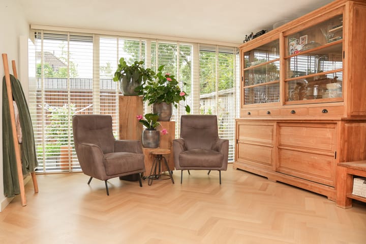 Photo 4 of Boterbloem 1