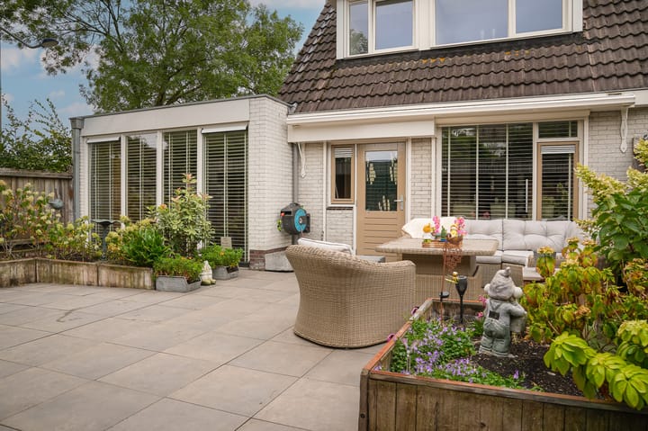 Photo 5 of Boterbloem 1