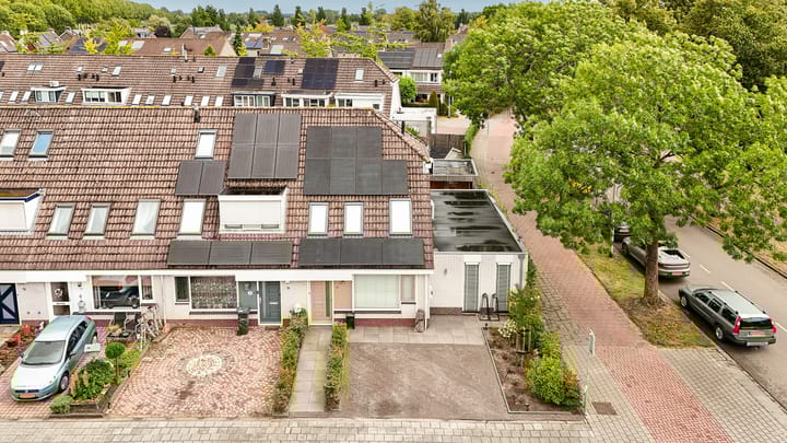 Photo 6 of Boterbloem 1