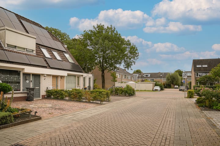 Photo 7 of Boterbloem 1