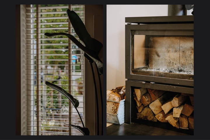 Photo 18 of Boterbloem 1