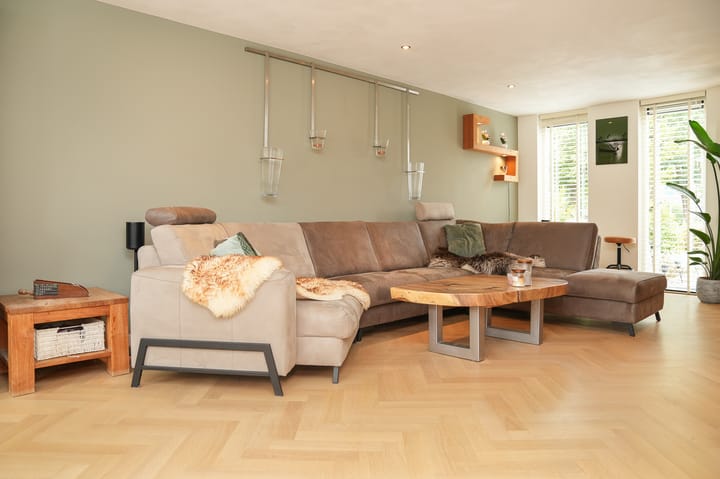 Photo 21 of Boterbloem 1