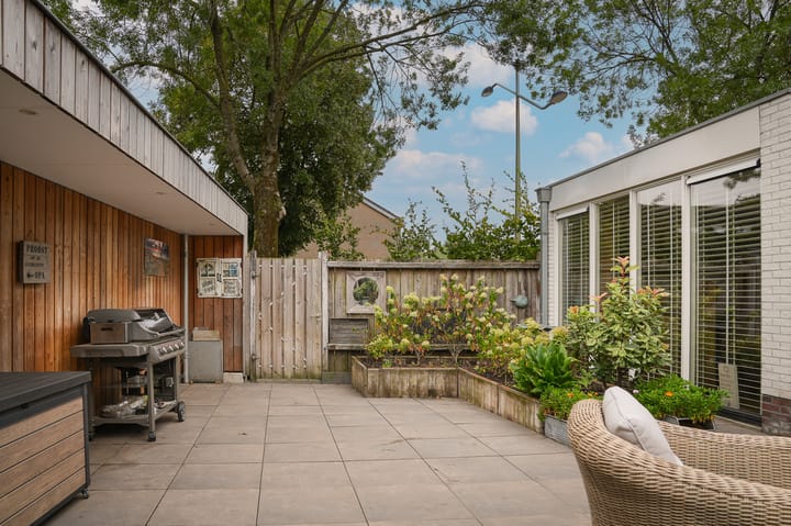 Photo 41 of Boterbloem 1