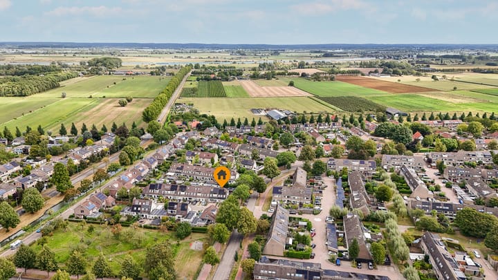 Photo 43 of Boterbloem 1