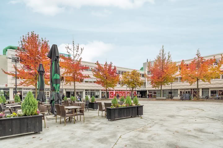 Foto 20 van Het Breed 643