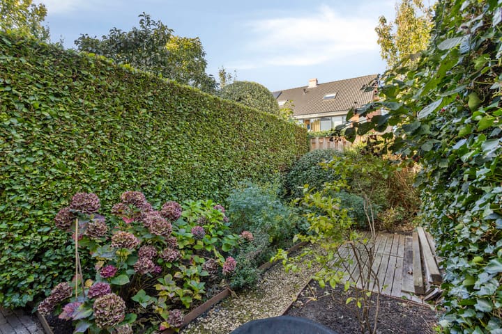 Foto 41 van Zuring 27