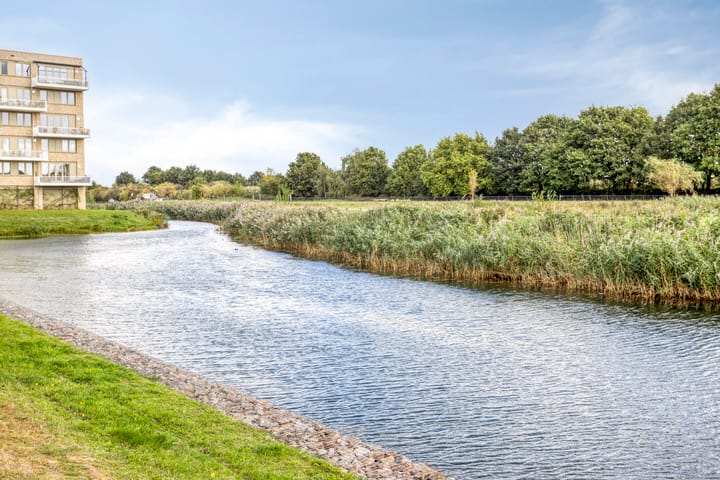 Foto 44 van Zuring 27