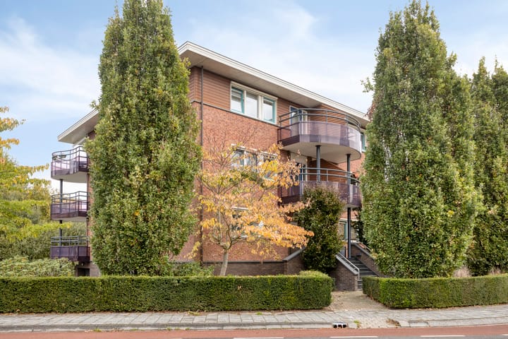 Photo 25 of Schering 25