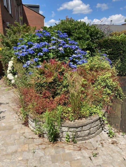 Foto 38 van de Geerkamp 1421