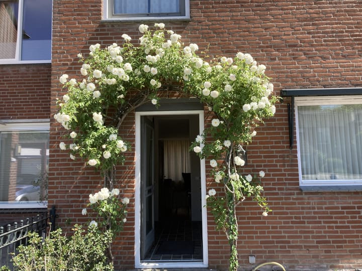 Foto 36 van de Geerkamp 1421